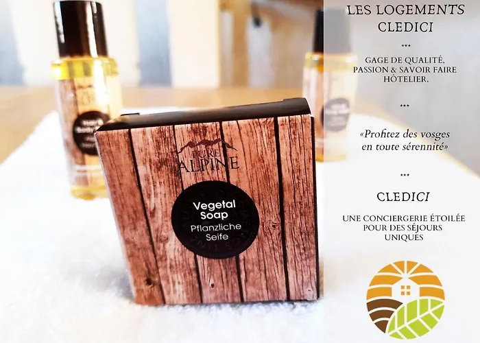 샬레 ⁂⁂ Le Nid De Pierre & Julie Cledicihome 2 Pas Du Centre / & Terasse Amenagee ⁂⁂ *